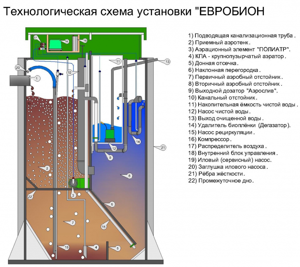Схема Евробион